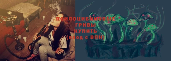 хмурый Магас