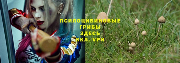 хмурый Магас