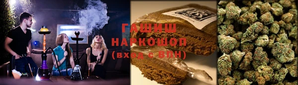 хмурый Магас