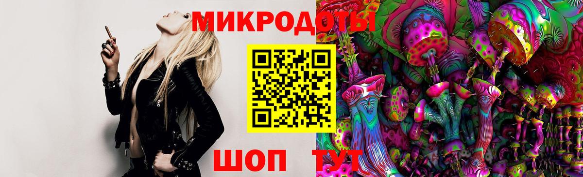 Псилоцибиновые грибы прущие грибы  Вход с VPN  Псилоцибиновые грибы прущие грибы  Новый Уренгой 
